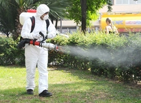 Böcek İlaçlama Nedir ve Nasıl Yapılır?