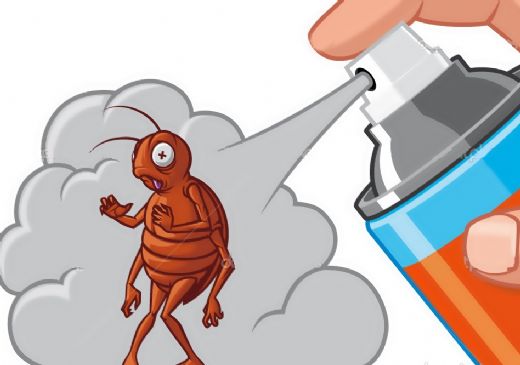 Böcek İlacı Böcek İlaçları Çeşitleri
